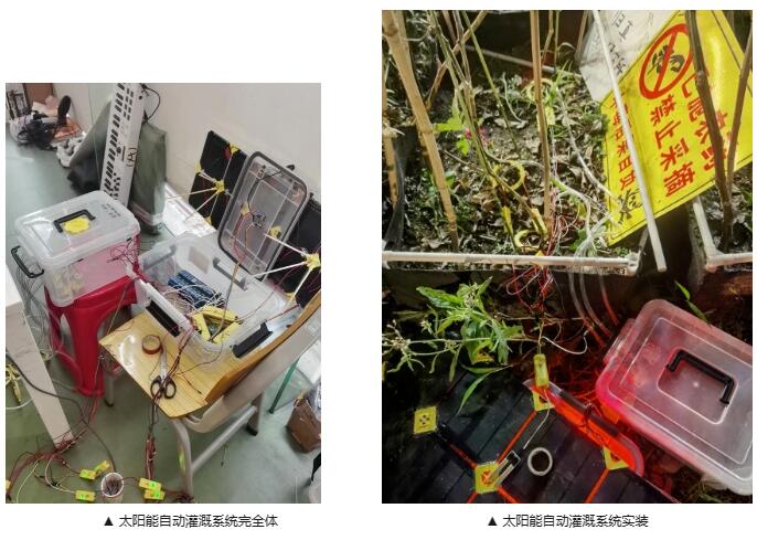 太阳能自动灌溉系统的完整原型与校园安装现场